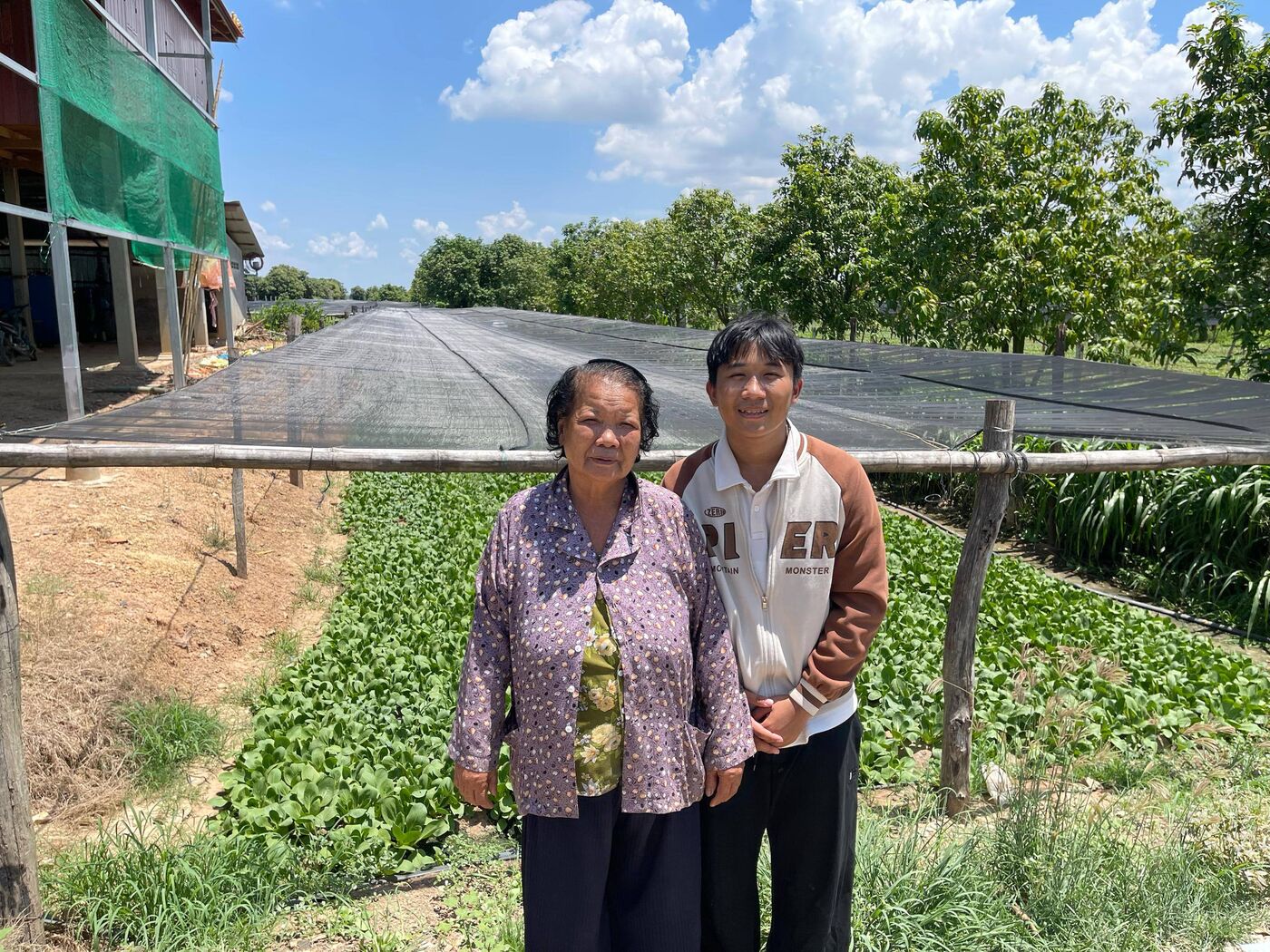 A bok choy farmer with the Chomkar team, Kang Meas, Kampong Cham